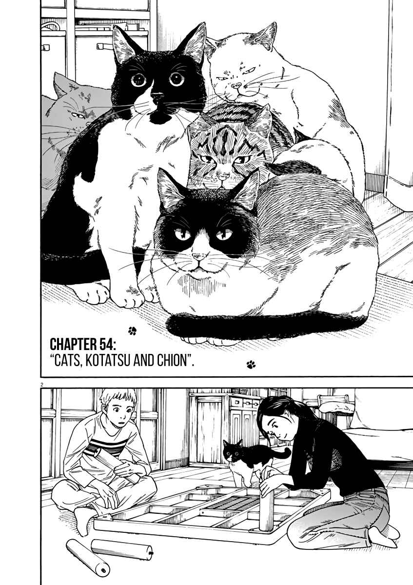 Page 6 Chapter 54 Neko no Otera no Chion-san