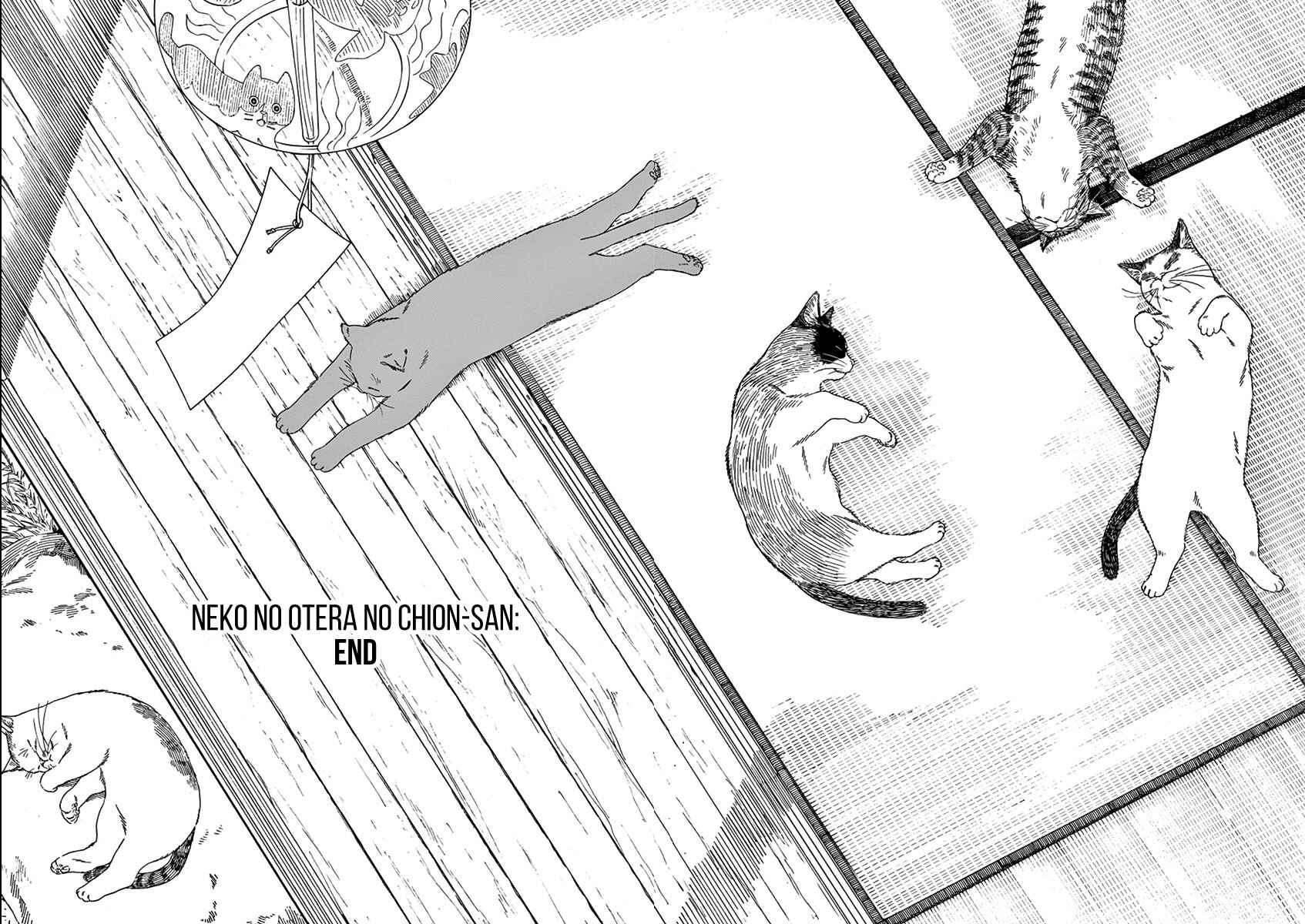 Page 20 Chapter 79 Neko no Otera no Chion-san