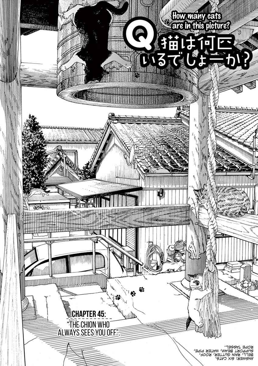 Page 5 Chapter 45 Neko no Otera no Chion-san