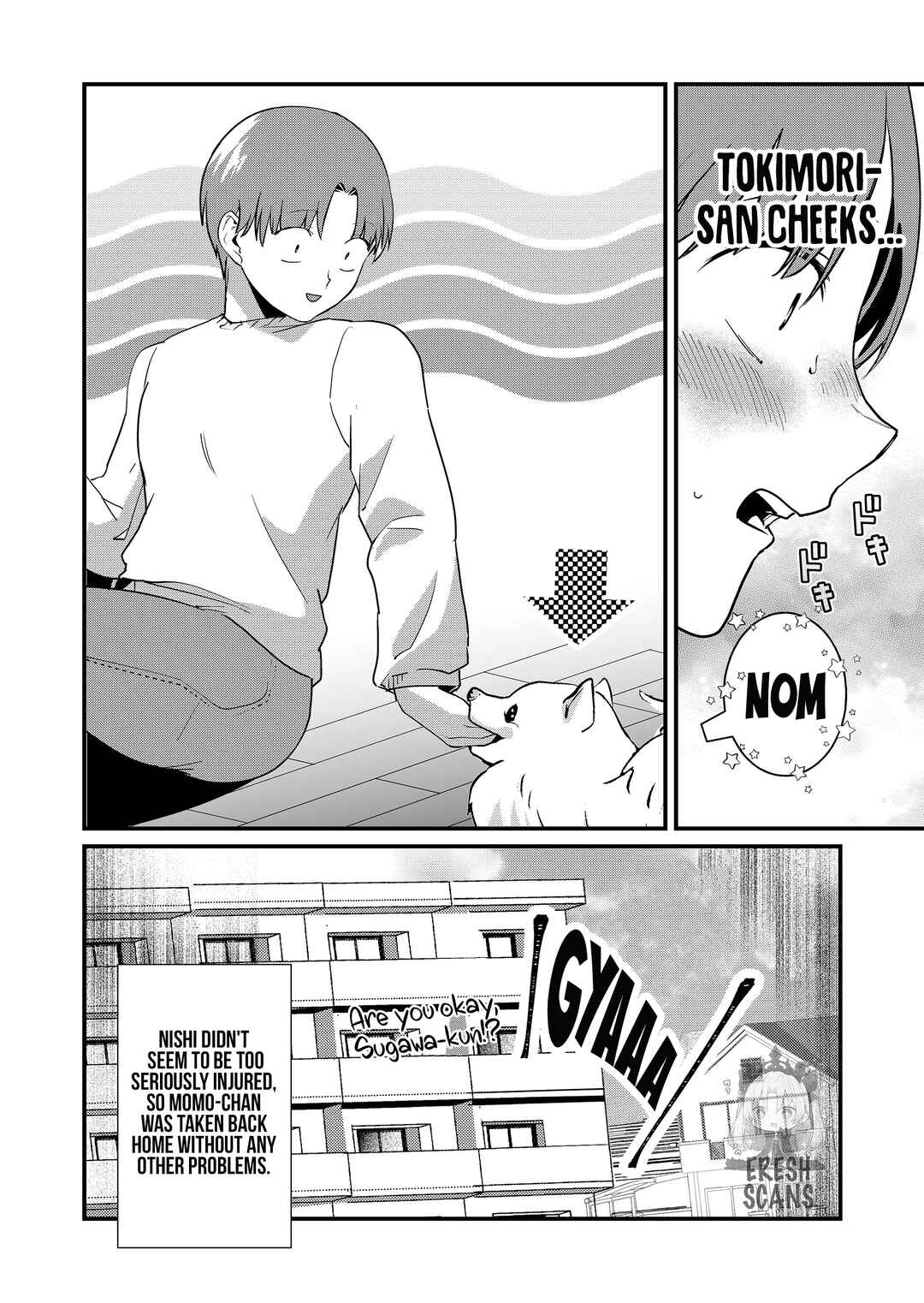 Page 13 Chapter 26 Tokimori-san ga Muboubi desu!!