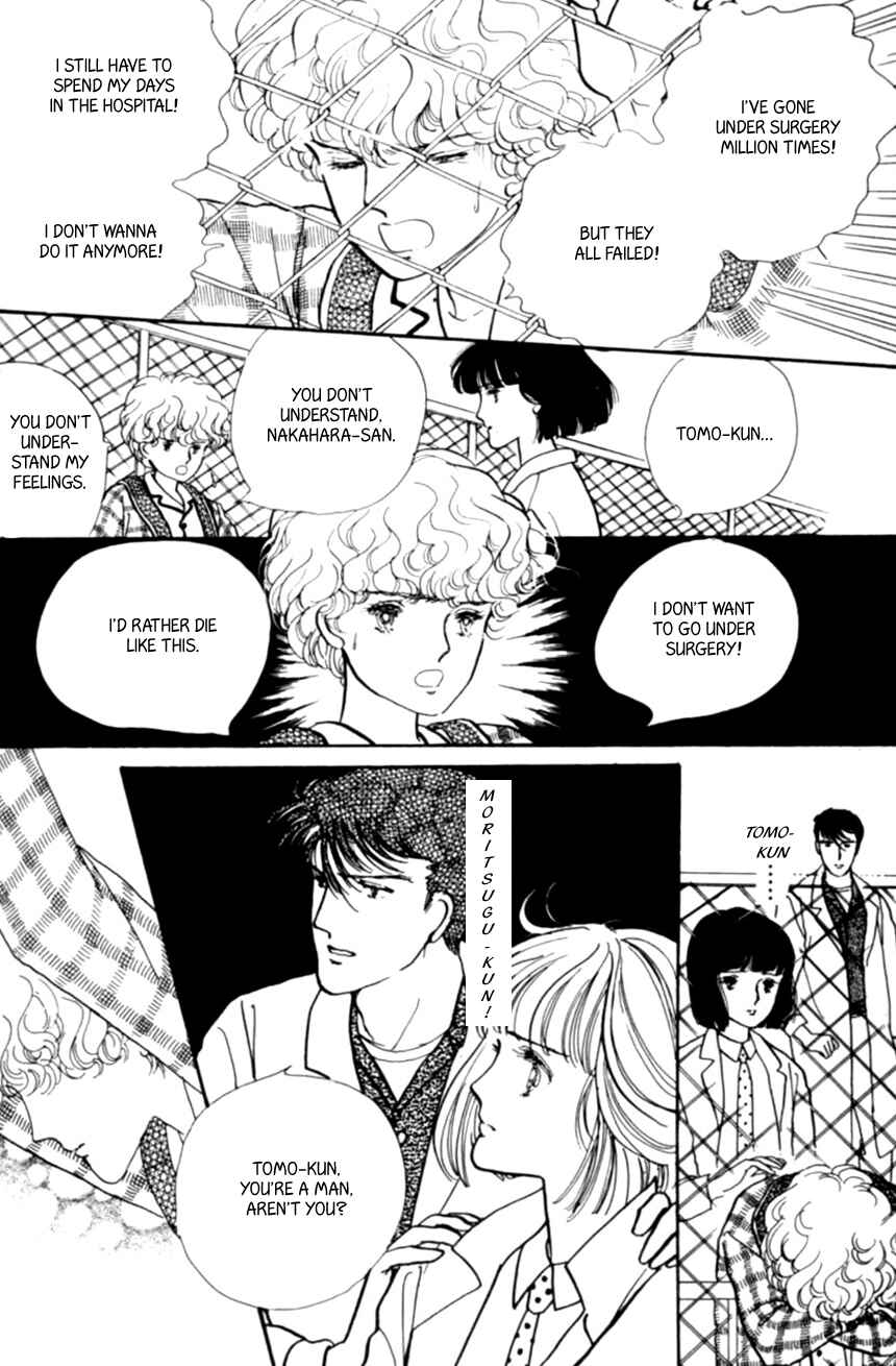 Page 22 Chapter 20 Linden Tree