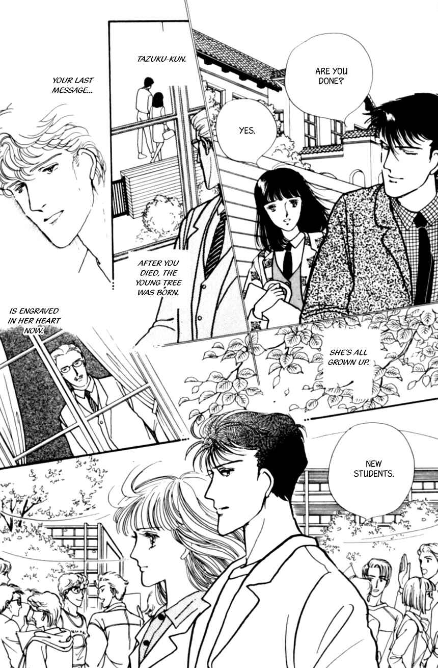 Page 22 Chapter 21 Linden Tree
