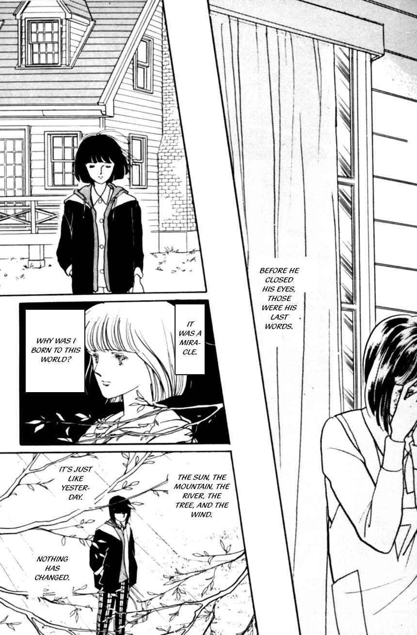 Page 29 Chapter 18 Linden Tree