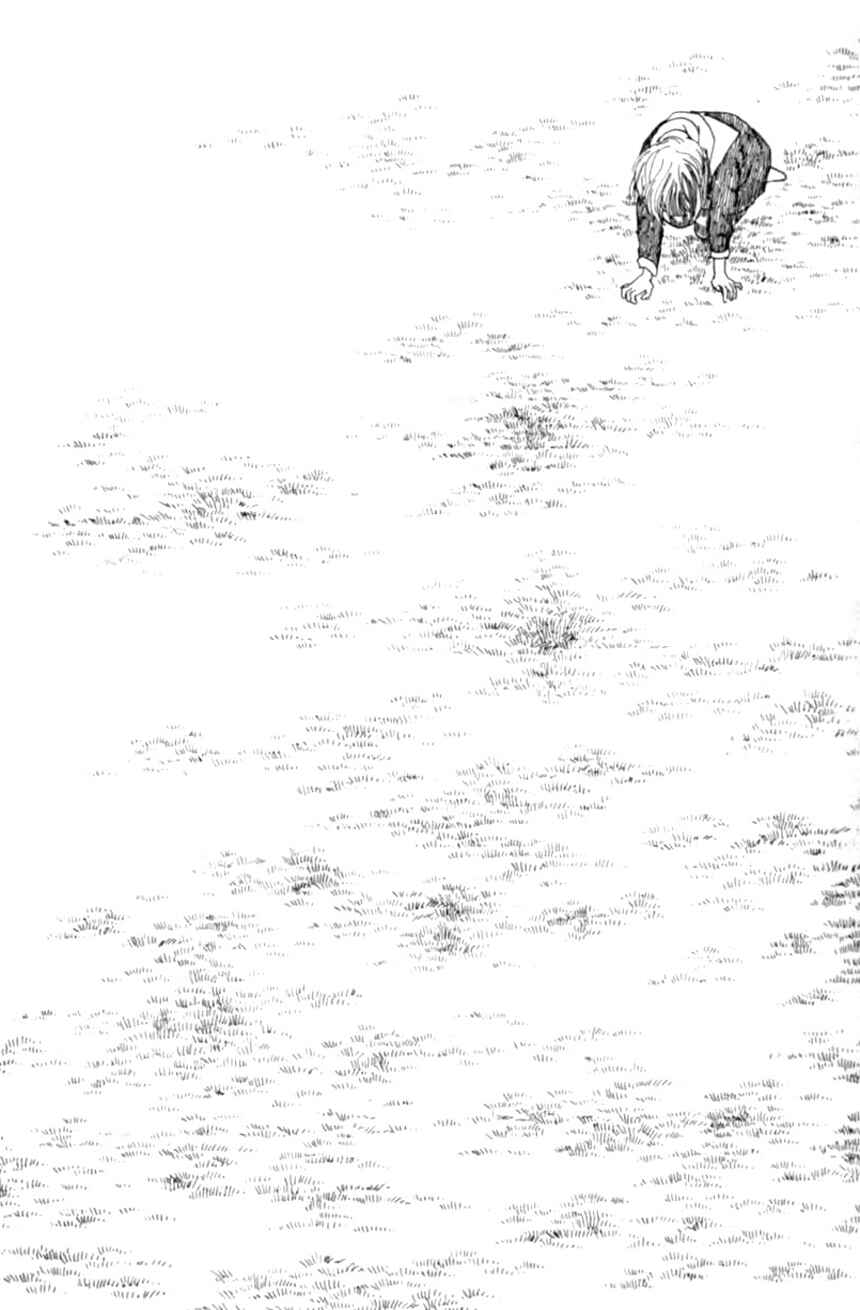 Page 31 Chapter 18 Linden Tree