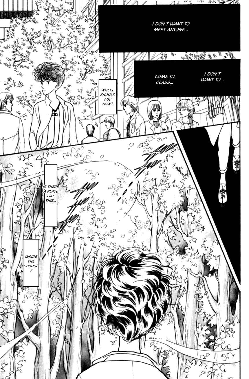 Page 25 Chapter 4 Linden Tree