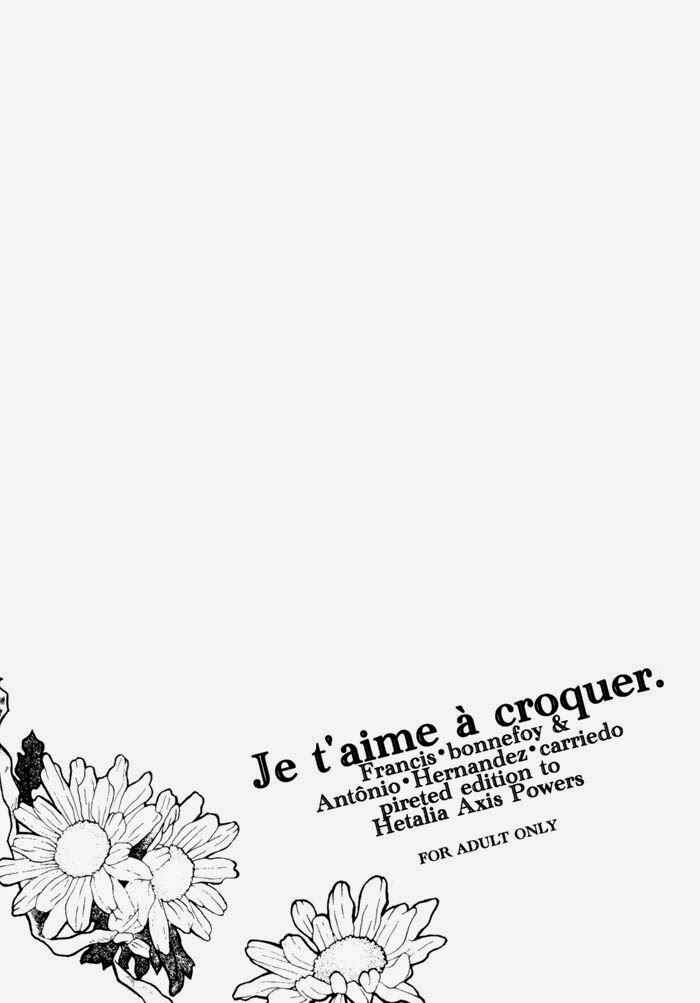 Page 3 Chapter Unknown_3a1d Hetalia - Je taime à croquer (Doujinshi)