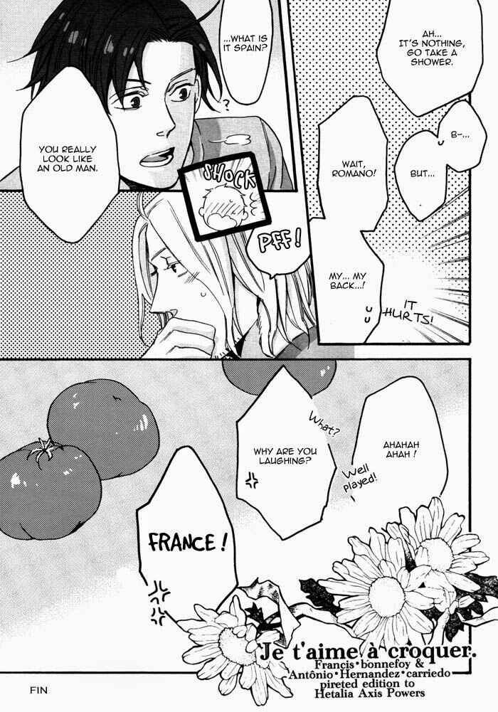 Page 32 Chapter Unknown_3a1d Hetalia - Je taime à croquer (Doujinshi)
