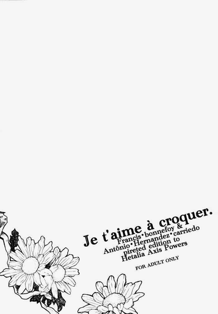 Page 40 Chapter Unknown_3a1d Hetalia - Je taime à croquer (Doujinshi)