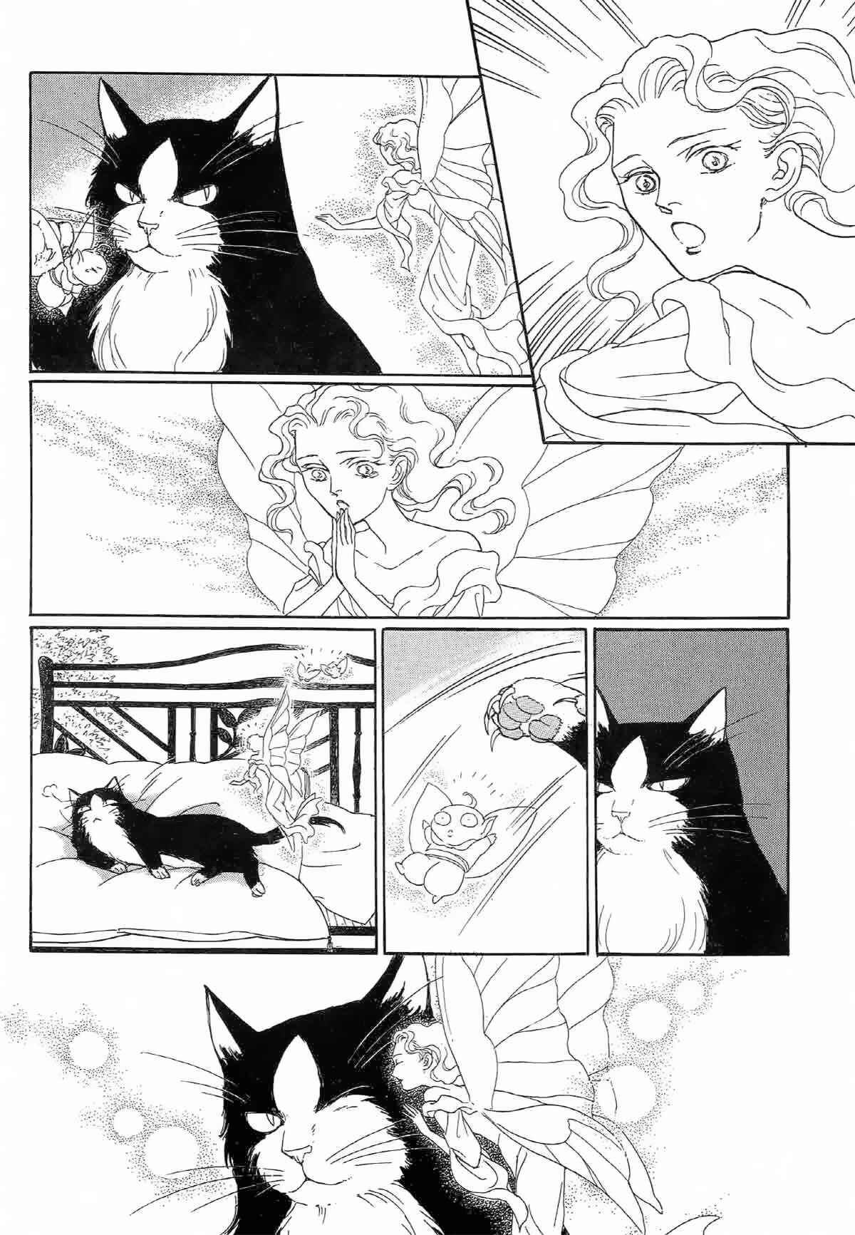 Page 26 Chapter 10.2 The Cat Is in a Secret Place