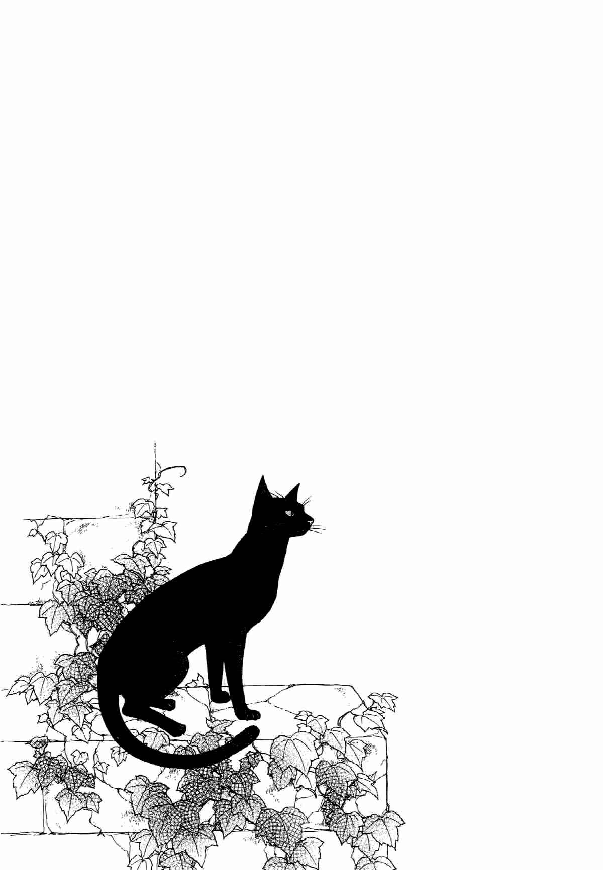 Page 24 Chapter 19.4 The Cat Is in a Secret Place