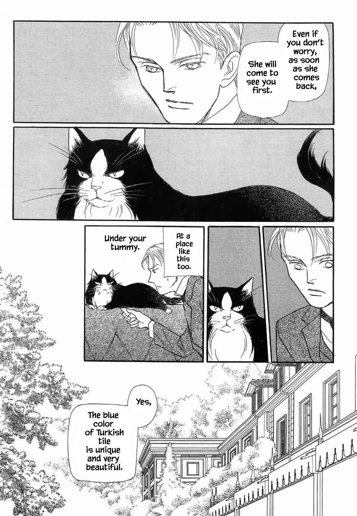 Page 16 Chapter 16.1 The Cat Is in a Secret Place