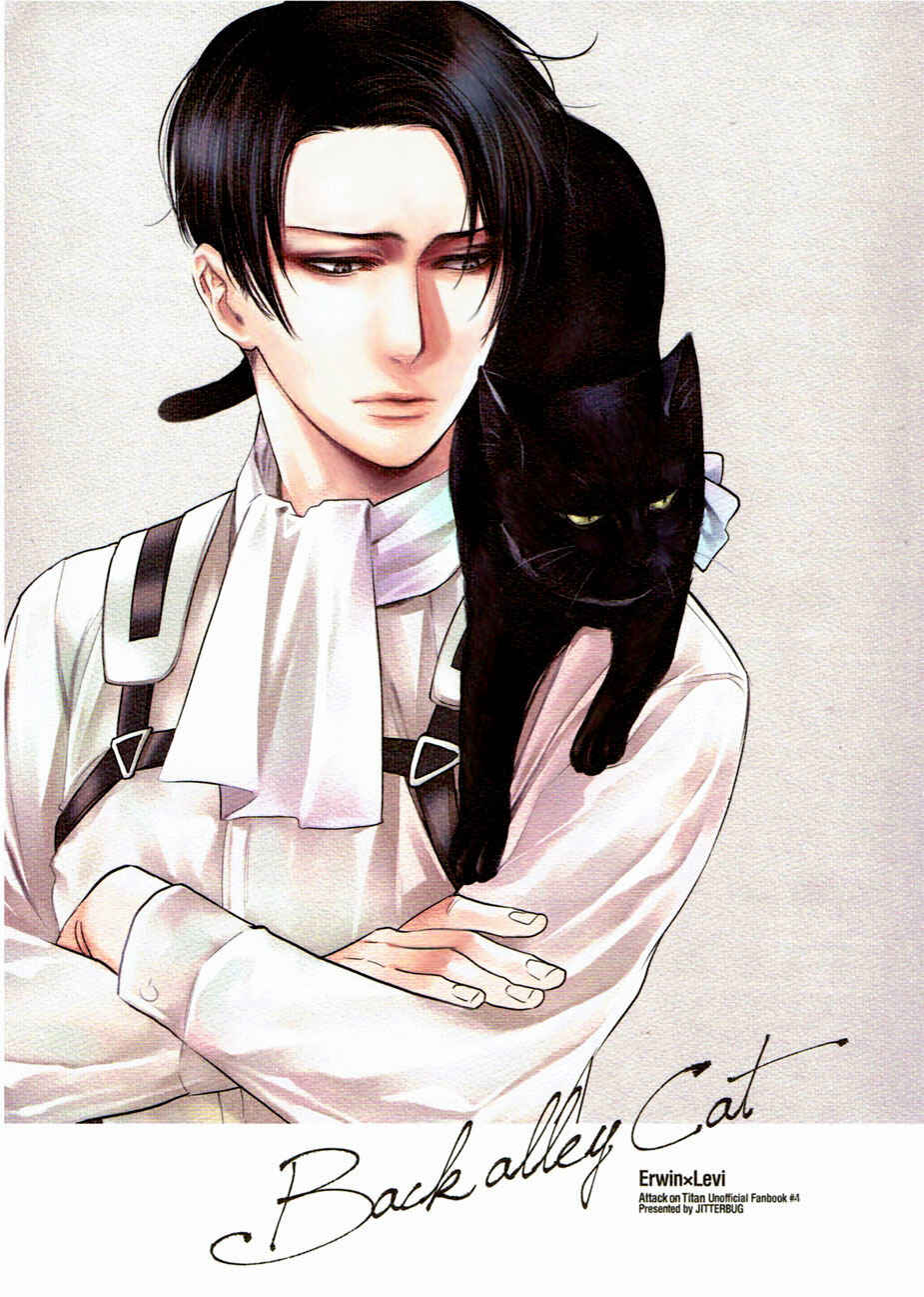 Page 1 Chapter Unknown_1a64 Attack on Titan - Back Alley Cat (Doujinshi)