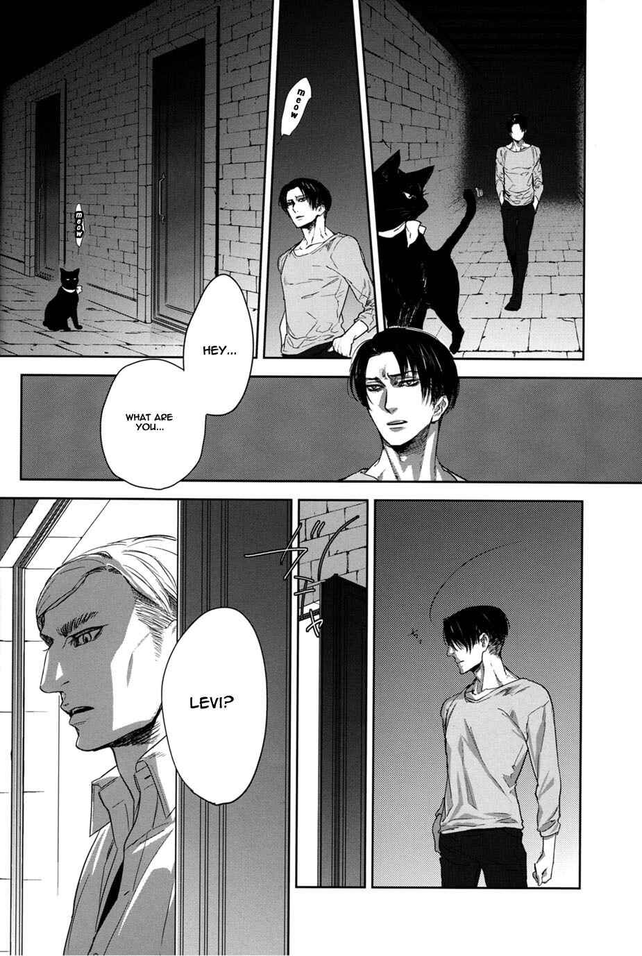 Page 13 Chapter Unknown_1a64 Attack on Titan - Back Alley Cat (Doujinshi)