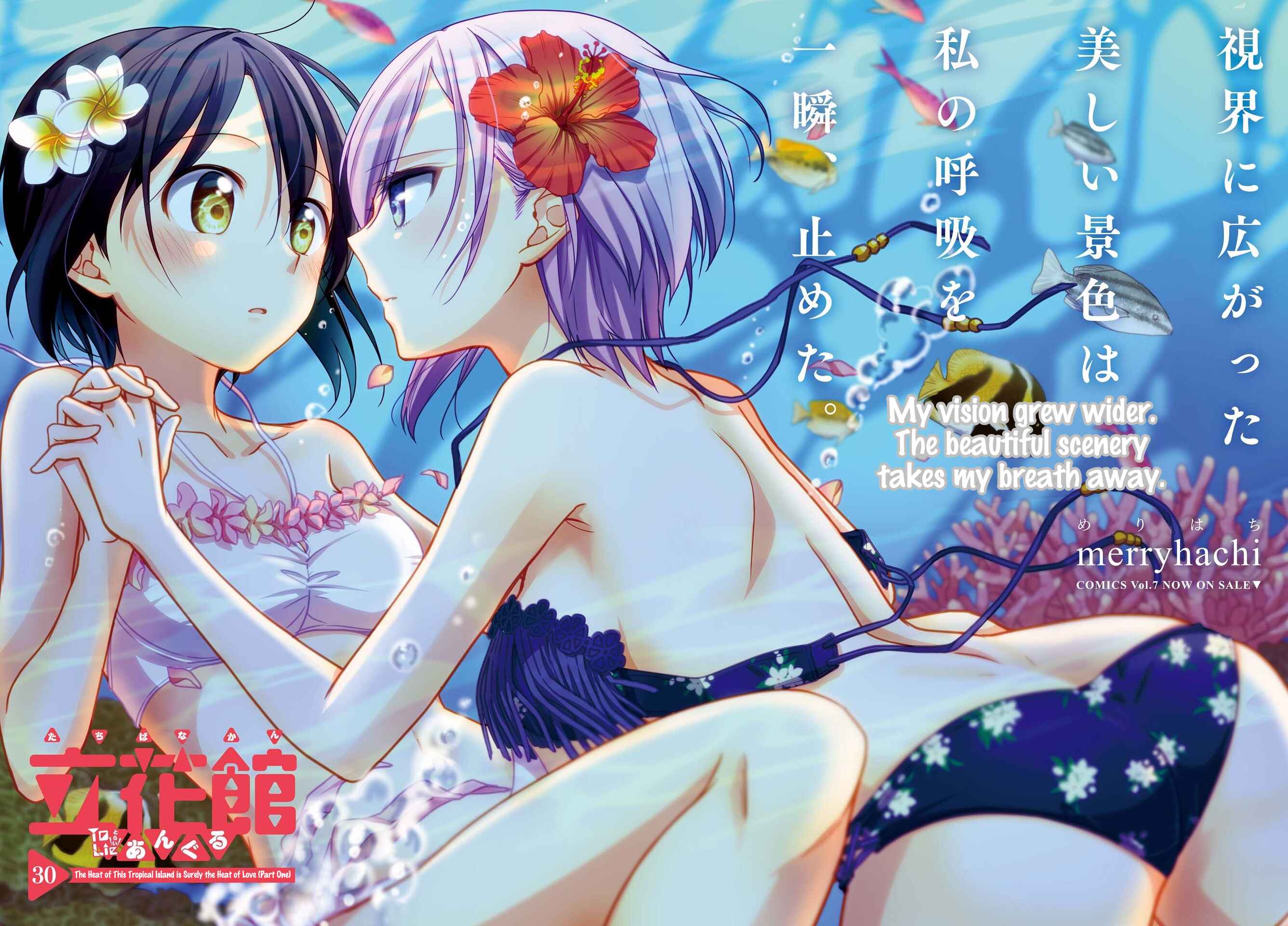 Page 2 Chapter 30 Tachibanakan Triangle