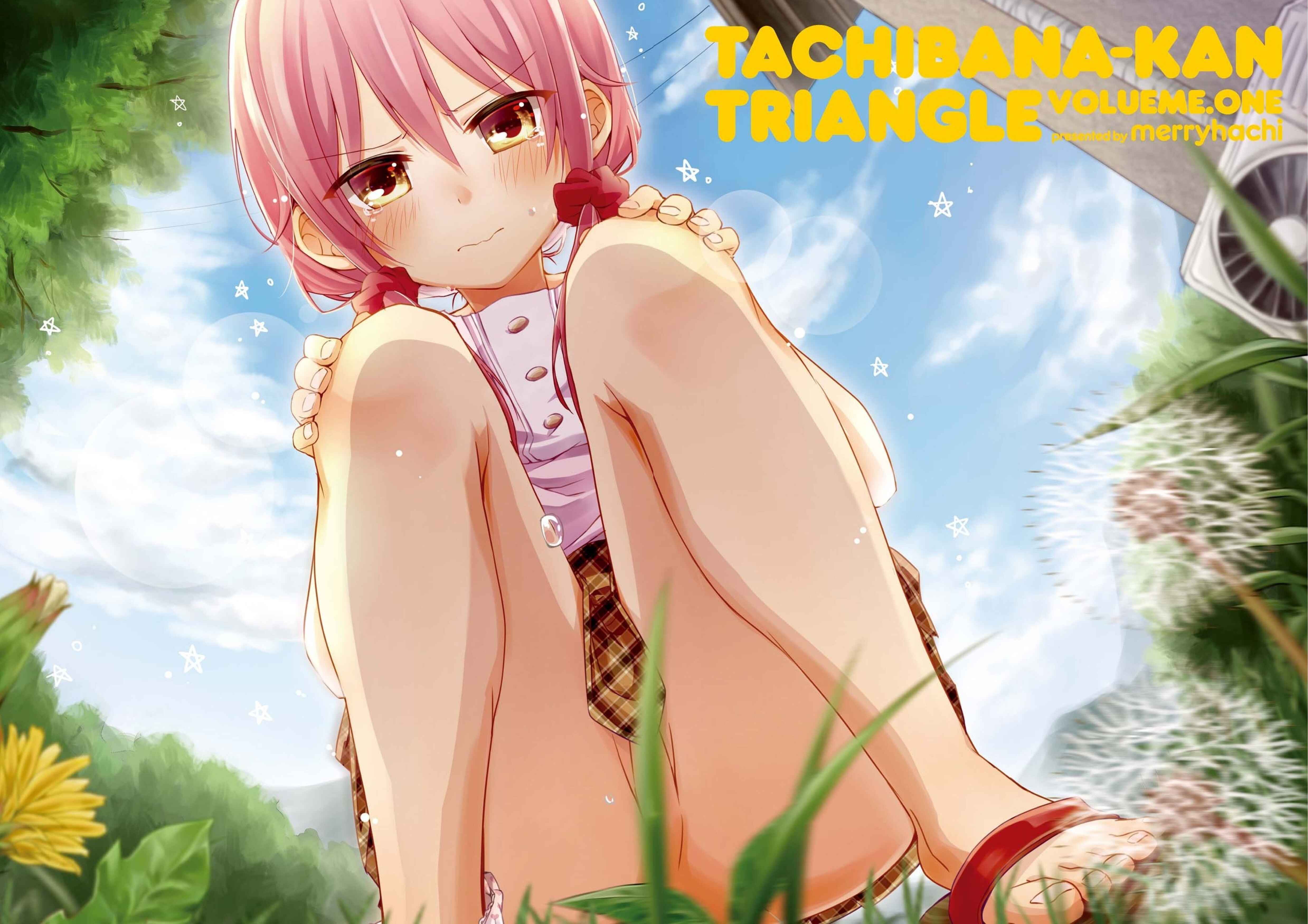 Page 2 Chapter 3 Tachibanakan Triangle