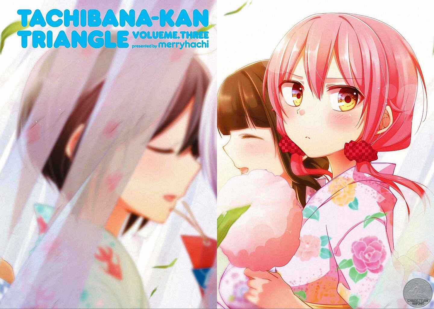 Page 2 Chapter 8 Tachibanakan Triangle