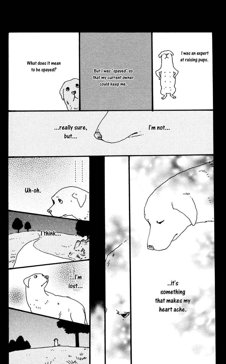 Page 66 Chapter 23 Principal