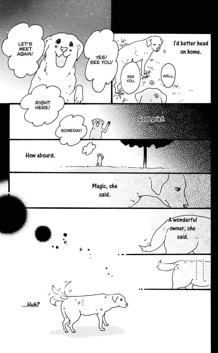 Page 71 Chapter 23 Principal