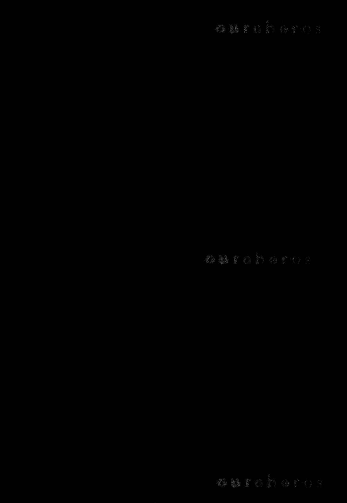 Page 20 Chapter 11 Ouroboros