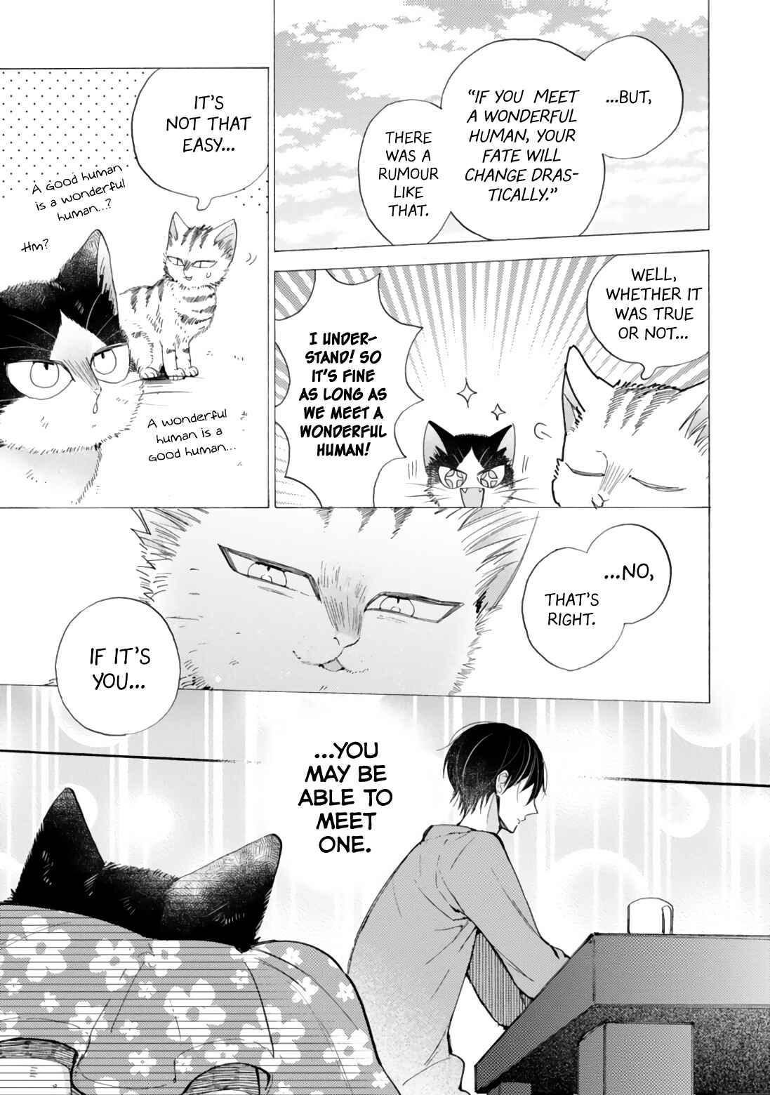 Page 11 Chapter 16.4 My Roommate Is a Cat