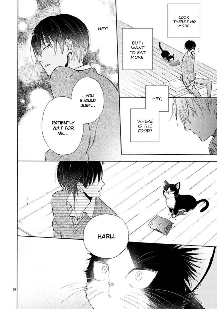 Page 10 Chapter 2.5 My Roommate Is a Cat