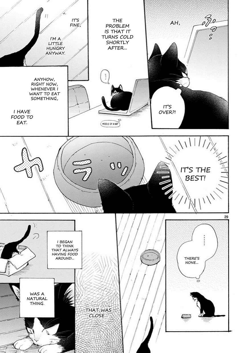 Page 3 Chapter 2.5 My Roommate Is a Cat