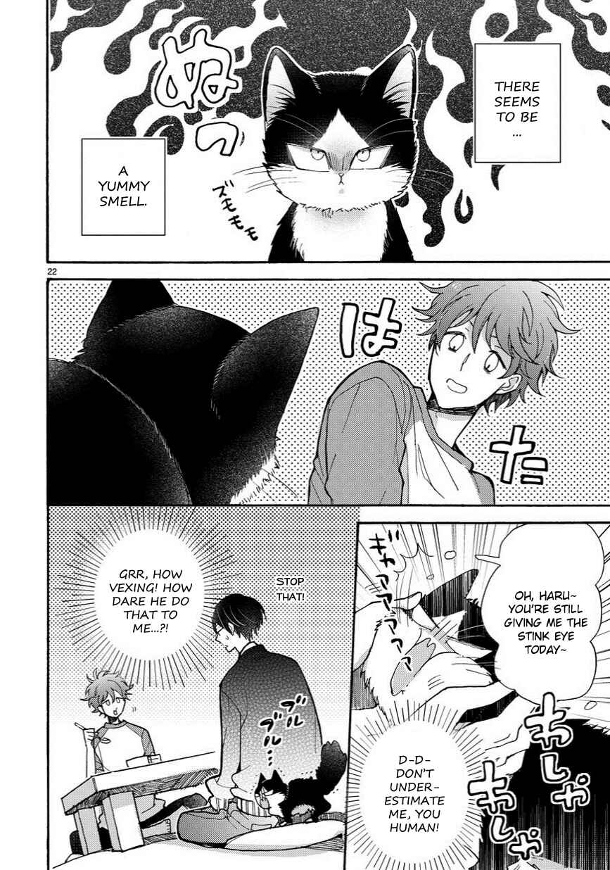 Page 3 Chapter 6.5 My Roommate Is a Cat