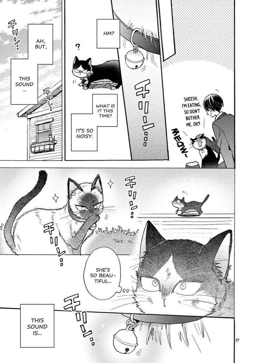 Page 8 Chapter 6.5 My Roommate Is a Cat