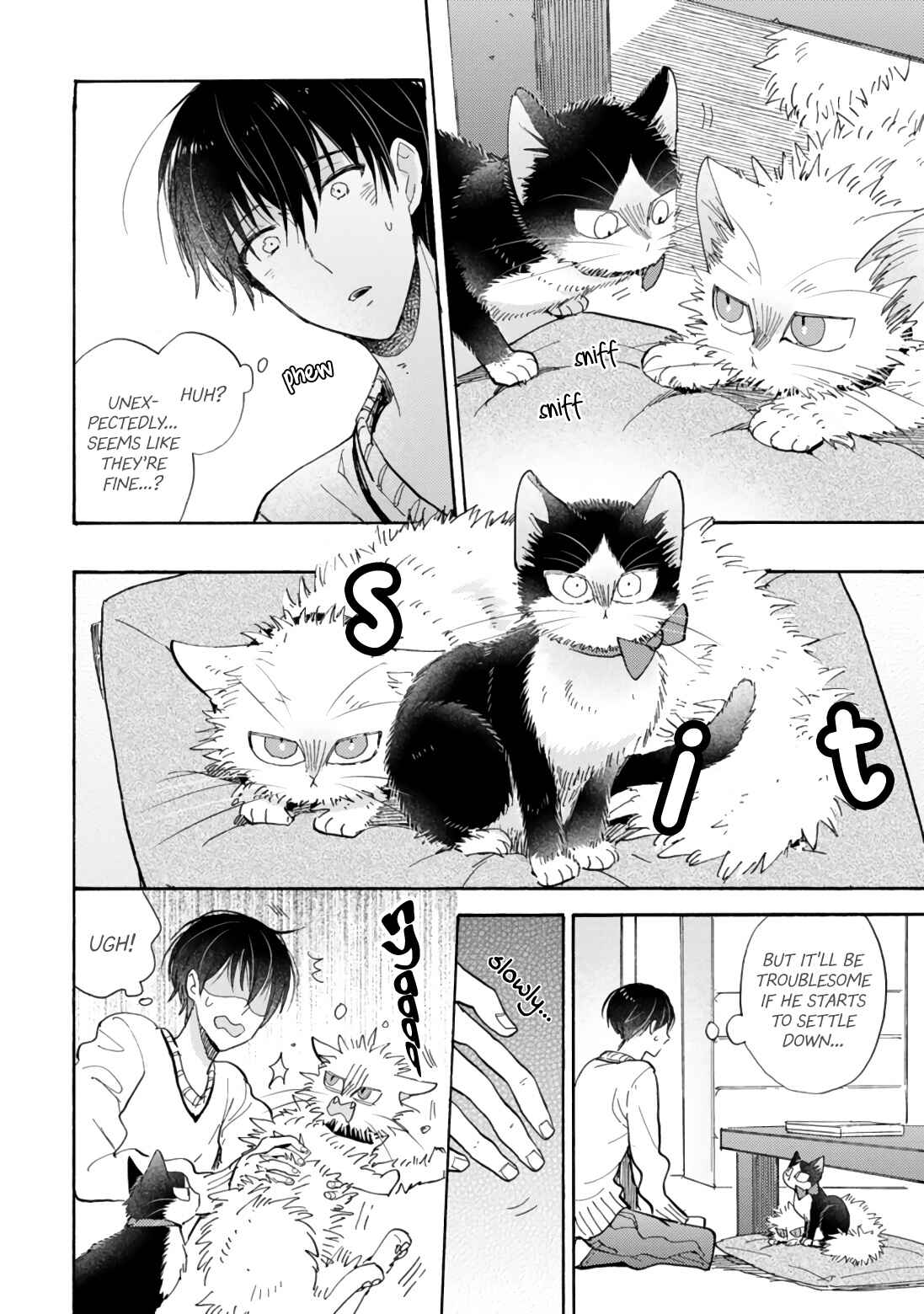 Page 8 Chapter 17.1 My Roommate Is a Cat