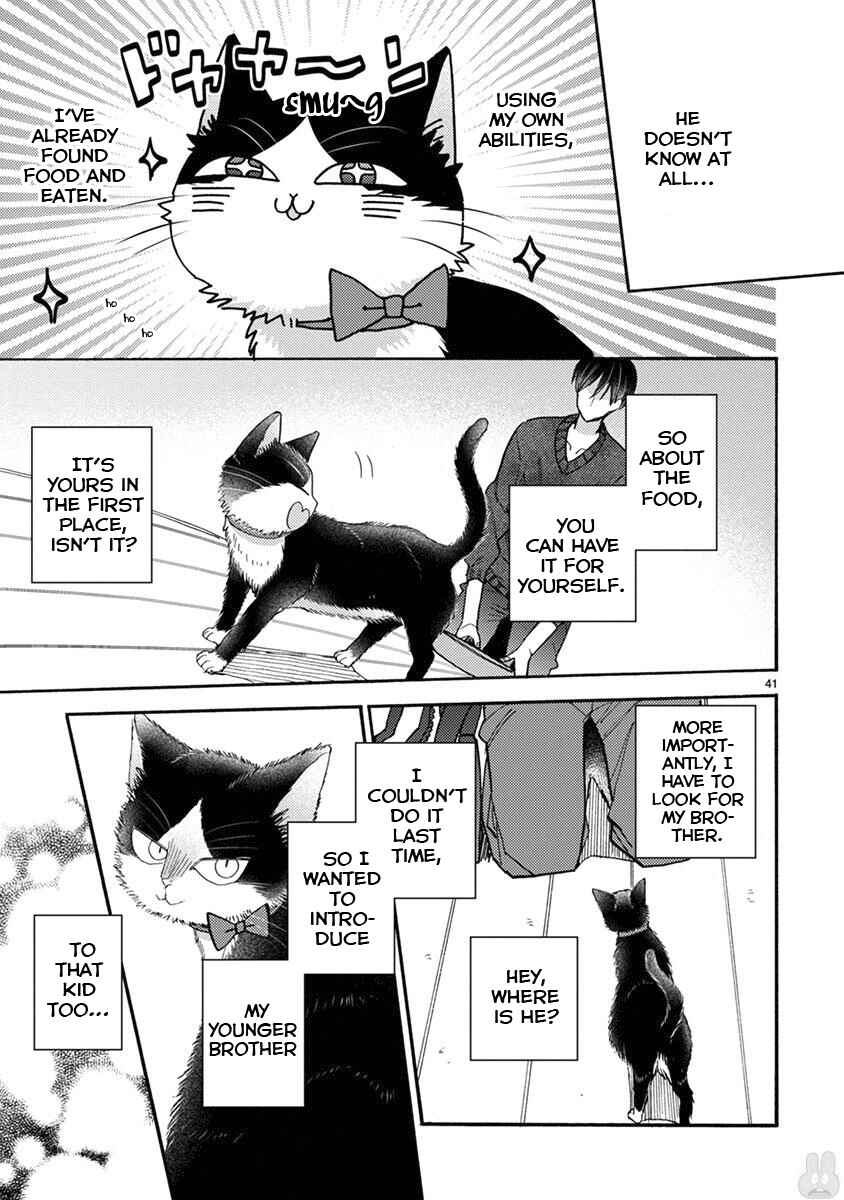 Page 10 Chapter 15.2 My Roommate Is a Cat