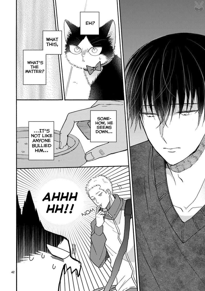 Page 11 Chapter 15.2 My Roommate Is a Cat