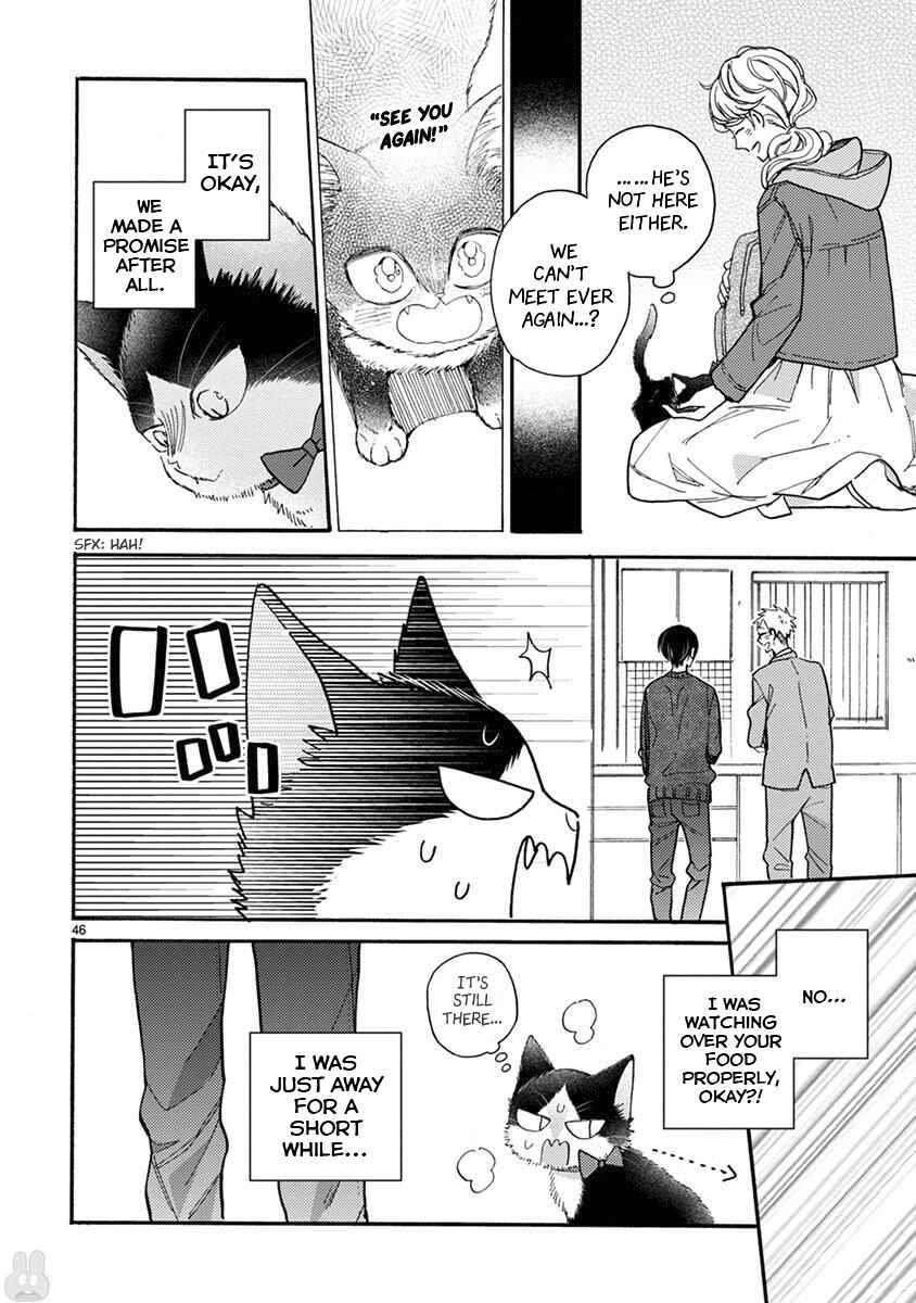 Page 15 Chapter 15.2 My Roommate Is a Cat