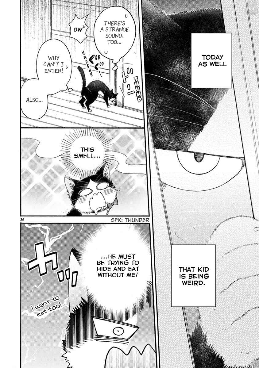 Page 5 Chapter 15.2 My Roommate Is a Cat