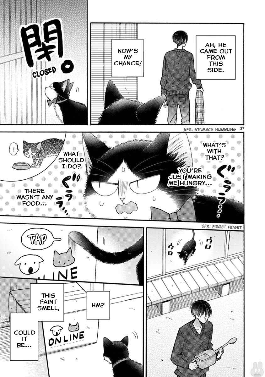 Page 6 Chapter 15.2 My Roommate Is a Cat