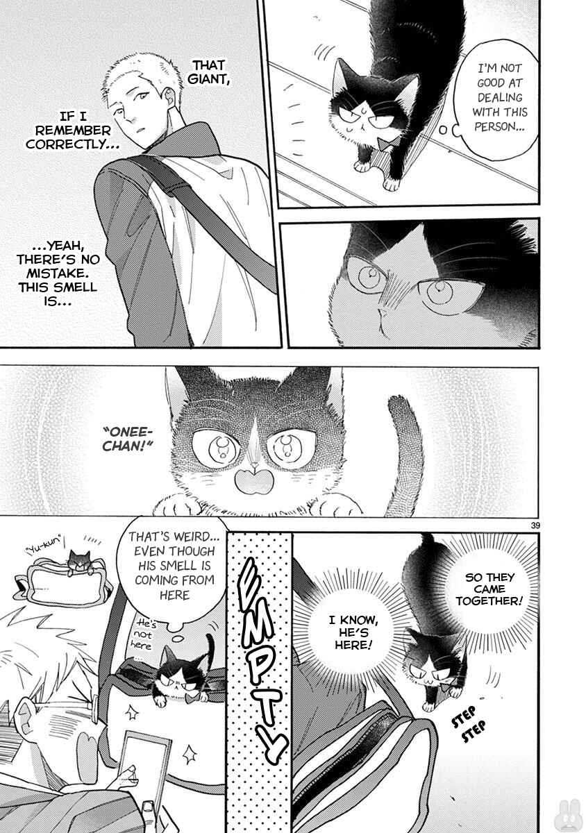 Page 8 Chapter 15.2 My Roommate Is a Cat