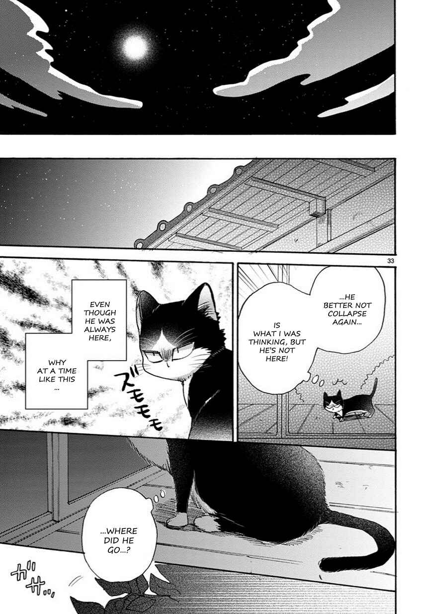 Page 10 Chapter 5.5 My Roommate Is a Cat