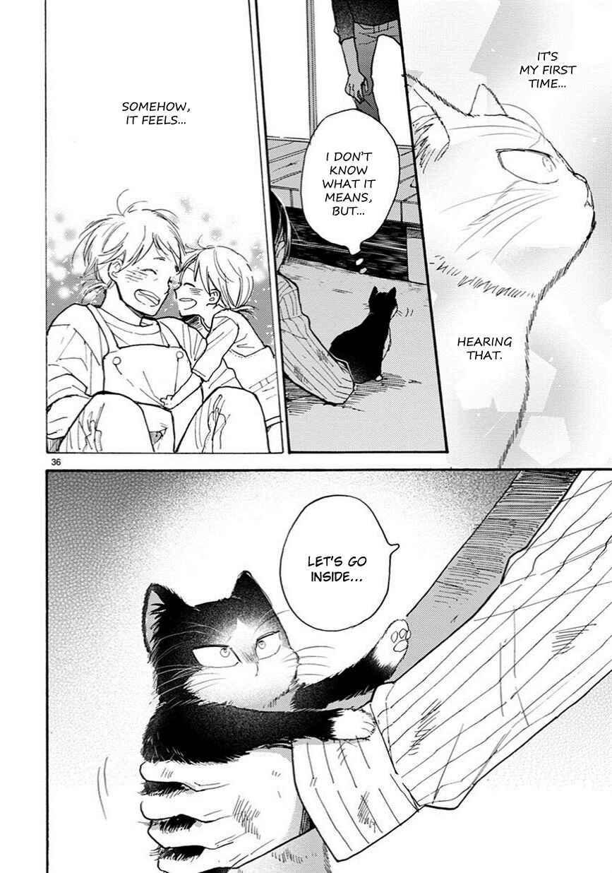 Page 13 Chapter 5.5 My Roommate Is a Cat
