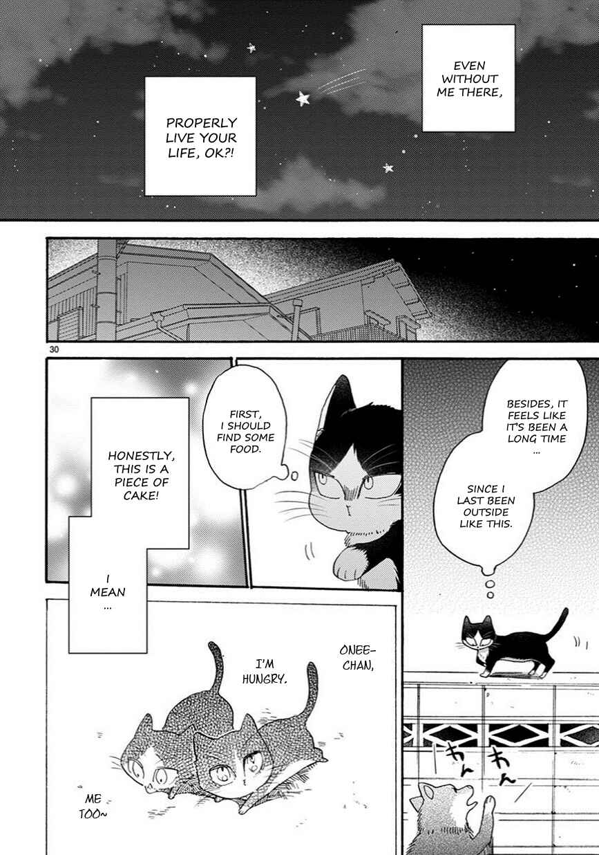 Page 7 Chapter 5.5 My Roommate Is a Cat