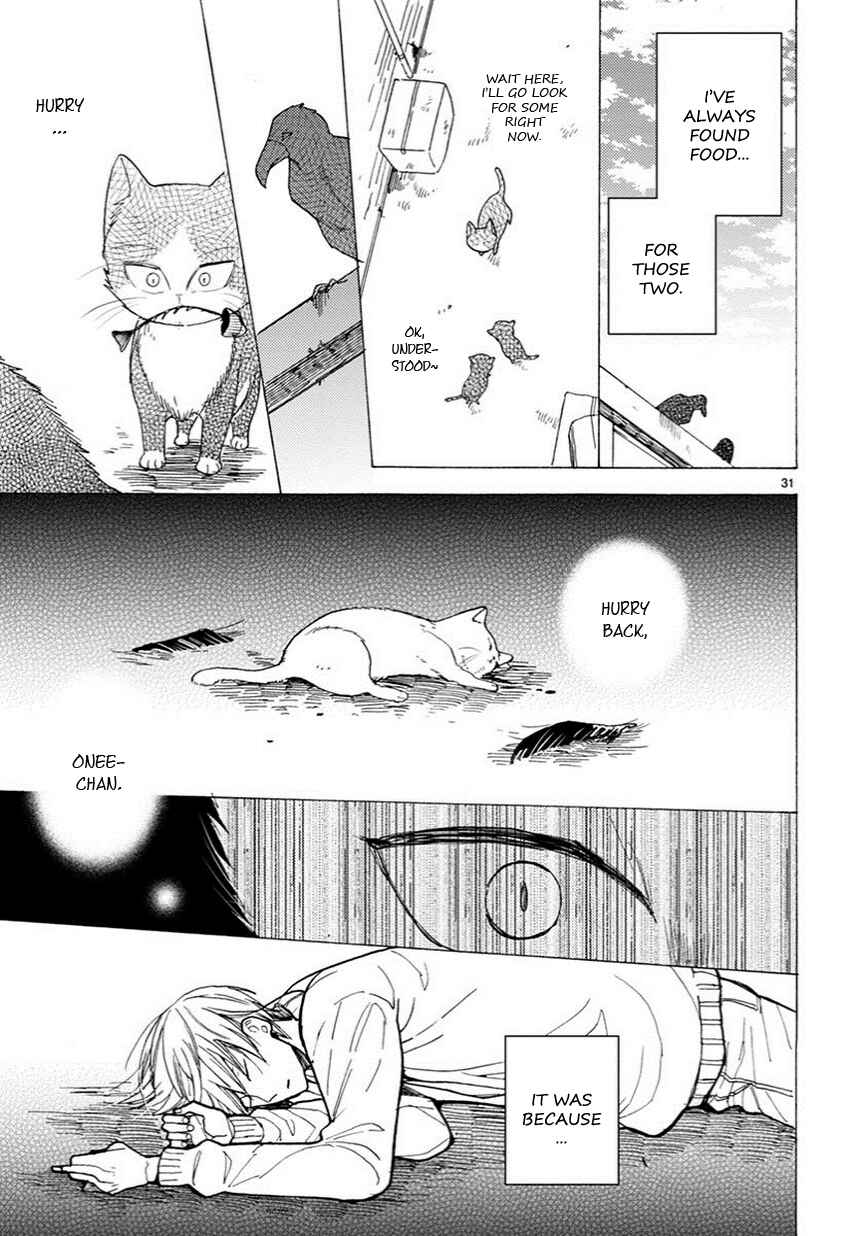 Page 8 Chapter 5.5 My Roommate Is a Cat