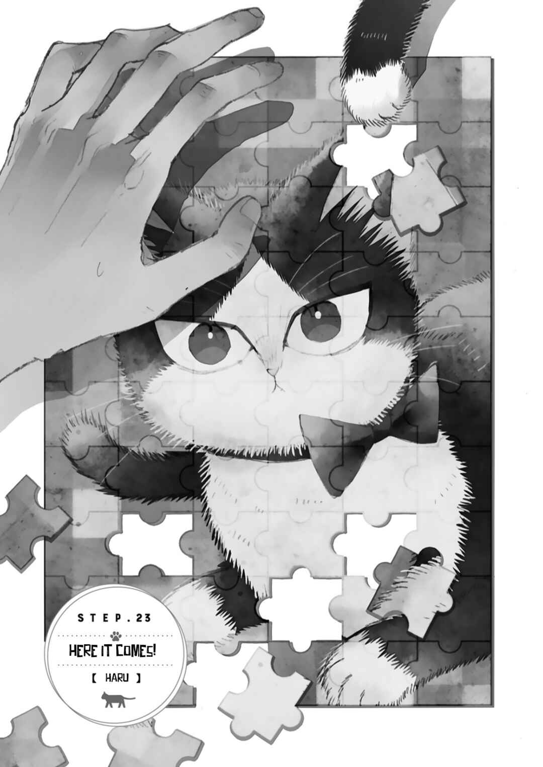 Page 1 Chapter 23.2 My Roommate Is a Cat