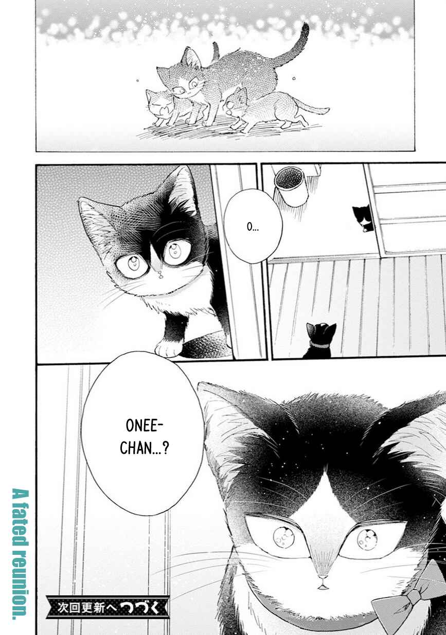 Page 18 Chapter 8.5 My Roommate Is a Cat