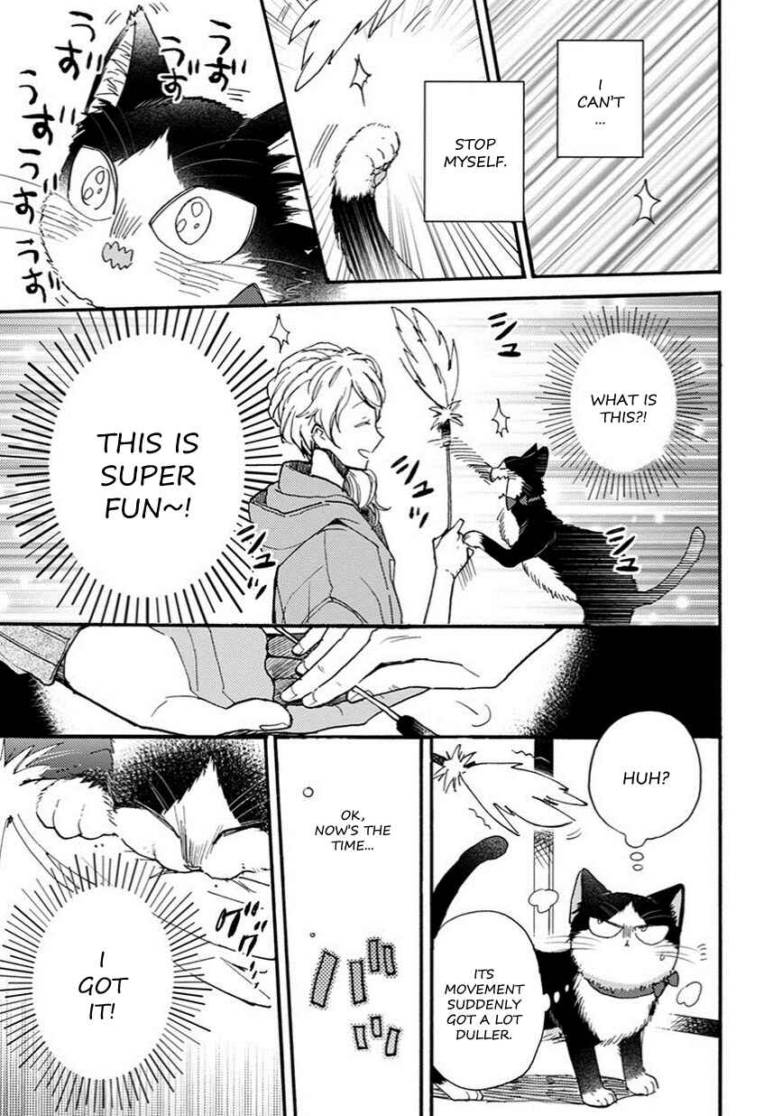 Page 8 Chapter 8.5 My Roommate Is a Cat
