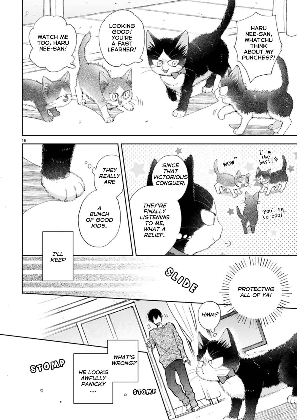Page 16 Chapter 20.2 My Roommate Is a Cat