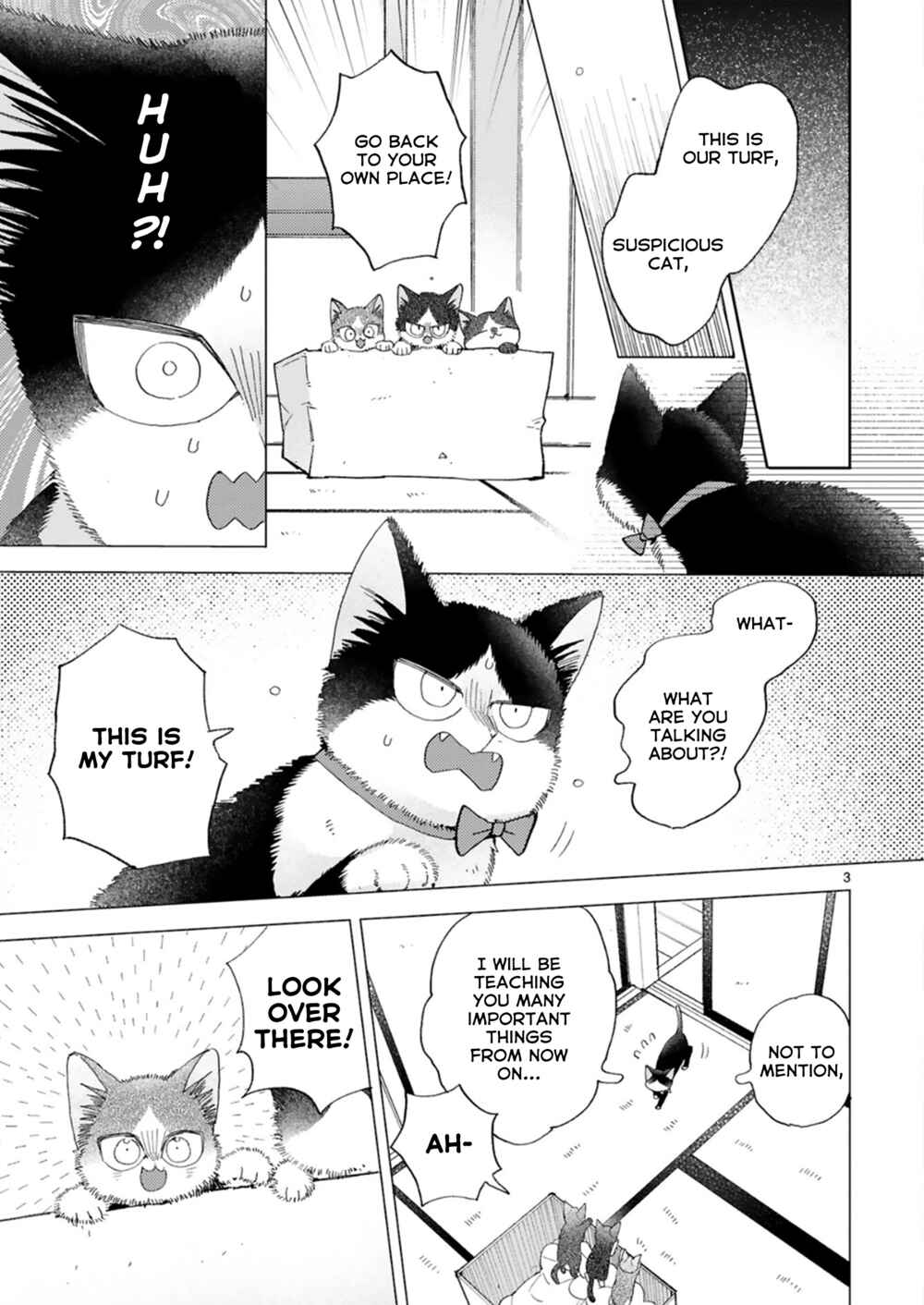 Page 3 Chapter 20.2 My Roommate Is a Cat