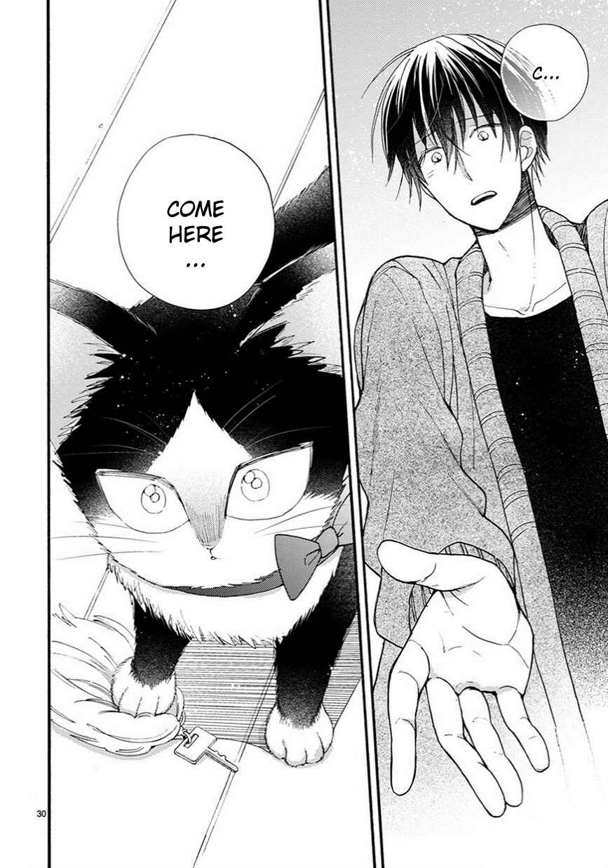 Page 15 Chapter 9.5 My Roommate Is a Cat