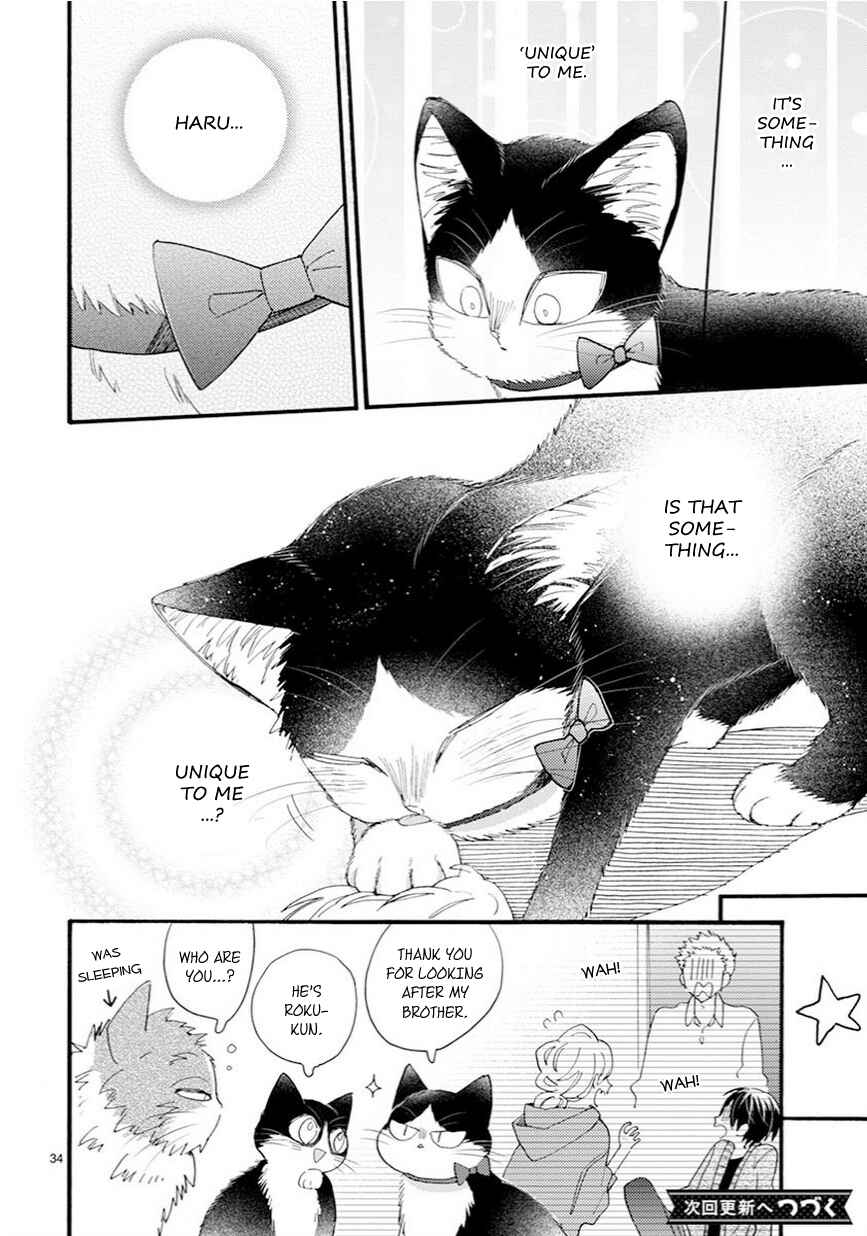 Page 19 Chapter 9.5 My Roommate Is a Cat