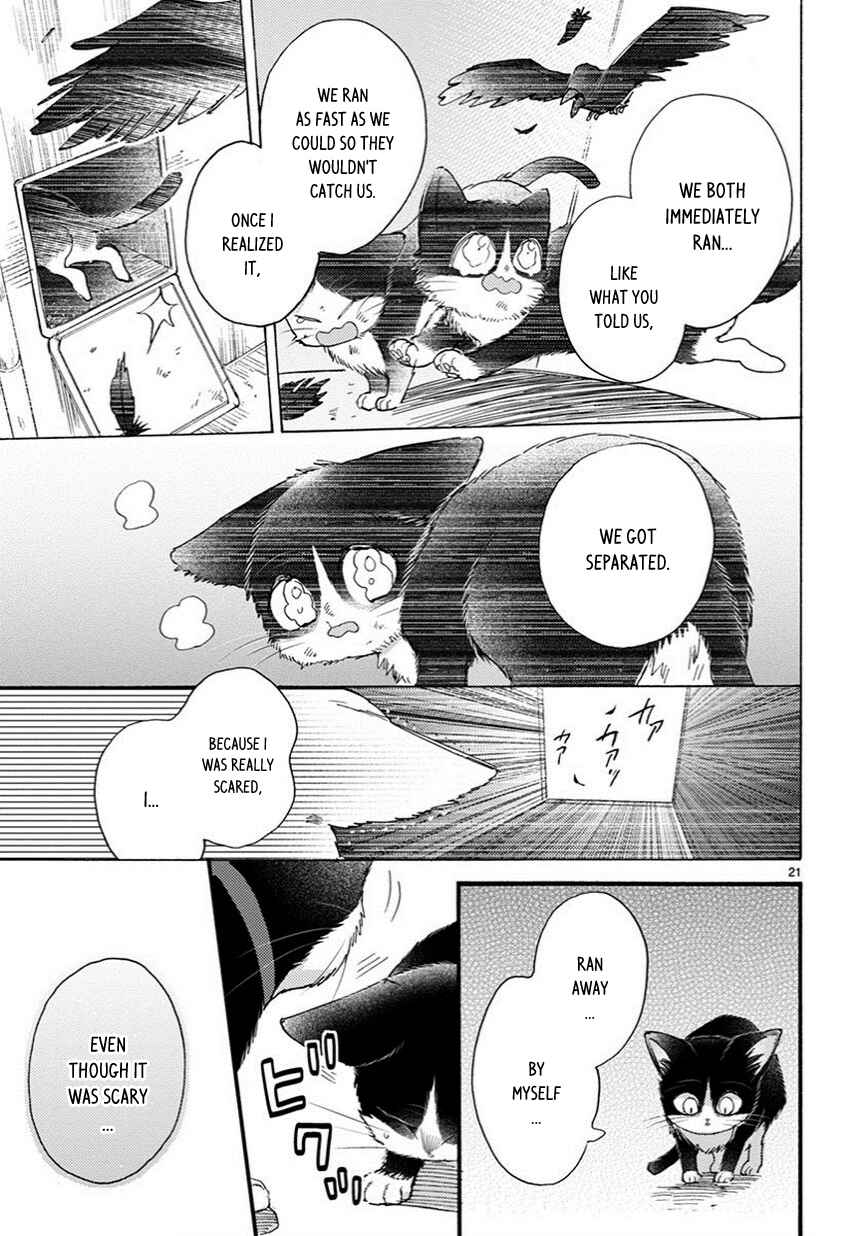 Page 6 Chapter 9.5 My Roommate Is a Cat