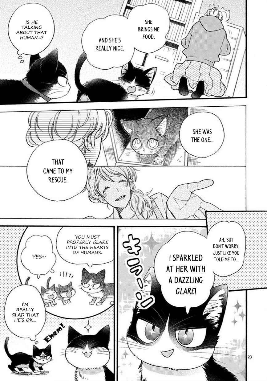 Page 8 Chapter 9.5 My Roommate Is a Cat