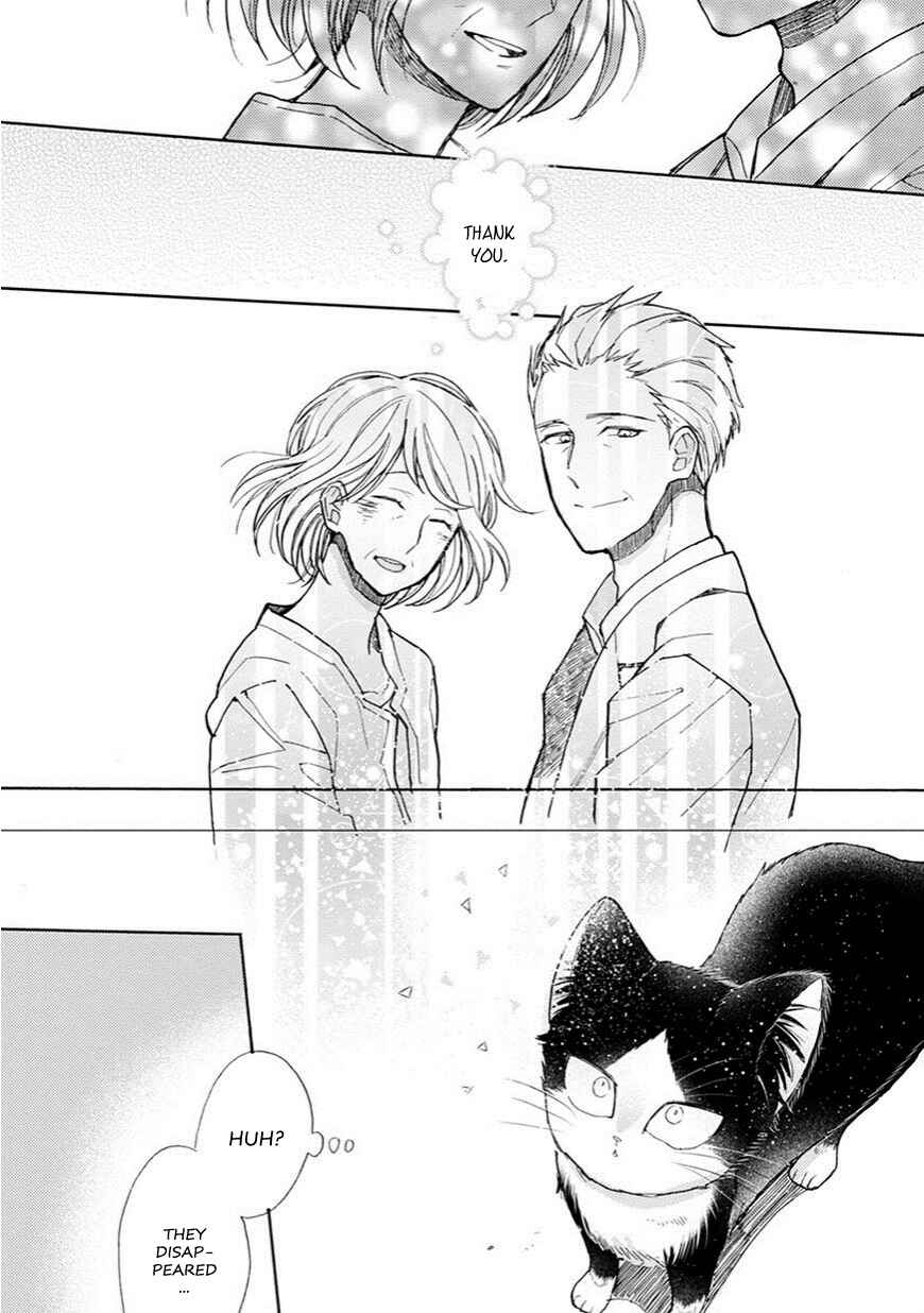 Page 11 Chapter 4.5 My Roommate Is a Cat