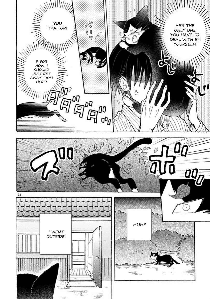 Page 13 Chapter 4.5 My Roommate Is a Cat